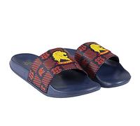 CERDÁ LIFE'S LITTLE MOMENTS 2300004762_T038-C65, Chanclas de Verano de Harry Potter con Licencia Oficial Warner Bros Hombre, Multicolor, 38 EU