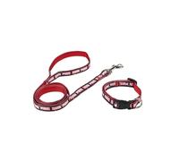 CERDÁ LIFE'S LITTLE MOMENTS - Correa de Perro Marvel - Licencia Oficial Marvel - Un Paseo Épico para Tu Fiel Compañero