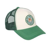 Gorra visera curva adulto stranger things