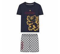 CERDÁ LIFE'S LITTLE MOMENTS Gryffindor [ Harry Potter Algodon 100% de 2 Piezas [ Camiseta + Pantalon Pijama Niño ] -Licencia Oficial Warner Bros, Gris, Estándar para Niños