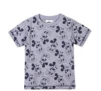 CERDÁ LIFE'S LITTLE MOMENTS Manga Corta Niño de Mickey Mouse | Camiseta de Verano 100% de Algodón-Licencia Oficial Disney, Gris, 3 años para Niñas