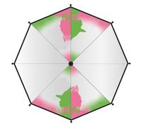 CERDÁ LIFE'S LITTLE MOMENTS Paraguas Manual Poe Adulto Wicked - Paraguas con Ilustraciones de Wicked, Apertura Manual Segura, Varillas Flexibles y Diseño Ergonómico