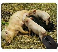 Cerdo Personalizado Durable Hogar y Oficina Mousepad Animales Año Nuevo de Pig Gaming Mouse Pad