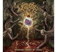 Cerebral Extinction : In Human Theory of Chaos