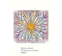 Cerebral Symphony: Layers of the Cortex