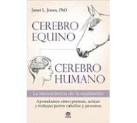 Cerebro Equino Cerebro Humano: La Neurociencia De La Equitacion
