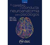 CEREBRO Y LA CONDUCTA NEURPSICOLOGIA Y PROCESOS BASICOS,EL (MANUAL MODERNO)