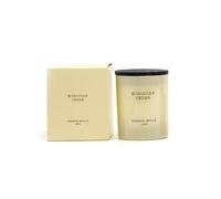 CERERÍA MOLLA 1899 | Vela Premium Moroccan Cedar | Velas Aromáticas de 1 Mecha | 50 horas de duración | Vela con Fragancias Naturales | Envases Reciclables | Vela Artesanal