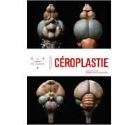 Céroplastie: Modèles en cire de cerveaux, d'embryons et de parasites