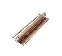 Cerrador automático de puerta inoxidable, Cierrapuertas automático, silencioso, con capacidad de carga, 35 kg, multicolor(Champagne)
