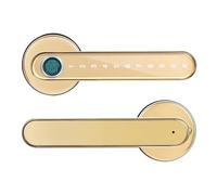 Cerradura biométrica Bluetooth con huella dactilar, color dorado, aplicación TTlock, cerradura digital inteligente para puerta, cerradura electrónica para Alexa/Google Home (oro rosa) aprendido