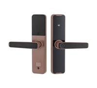 Cerradura de Puerta Biométrica con Huella Dactilar Manija de Puerta Inteligente Rosa Oro