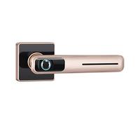 Cerradura de puerta biométrica de huellas dactilares para oficina en casa, cerradura electrónica inteligente para seguridad del hogar y la oficina con llave mecánica, cerraduras electrónicas