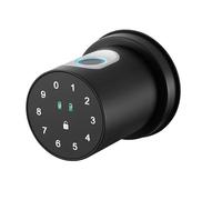 Cerradura de Puerta Inteligente con Huellas Dactilares Para Interiores,Cerradura de Puerta de Entrada Sin Llave con Teclado, Cerradura Digital Biométrica Inteligente con Código, Aplicación Tuya