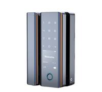 Cerradura Inteligente, Cerradura De Puerta Intelinte Tuya WIIF, Tarjeta De Contraseña Con Huella Dactilar, NFC, Llave De Aplicación, Desbloqueo Electrónico, Marco Sin Marco, Puerta Corredera De Vidrio