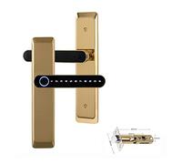 Cerradura inteligente, Cerradura electrónica Digital Tuya, cerraduras biométricas inteligentes con huella dactilar, contraseña, cerradura de puerta de entrada sin llave for casa, oficina(T11gold)