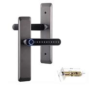 Cerradura inteligente, Cerradura electrónica Digital Tuya, cerraduras biométricas inteligentes con huella dactilar, contraseña, cerradura de puerta de entrada sin llave for casa, oficina(T1gun)