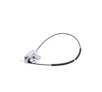 Cerradura puerta trasera Portón Trasero Maletero Con Cierre Lote Para Renault Para Koleos 905932234R 905939948R(Izquierda)