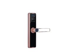 Cerraduras inteligentes para puerta delantera, cerradura biométrica de Finrprint, cerradura inteligente Tuya, aplicación Tuya, desbloqueo remoto, electrónica digital sin llave (200 x 22 (5050), cobre