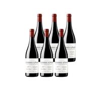 Cerro Añón Crianza - Vino Tinto D.O. Rioja | Pack de 6 Botellas (75 cl) | Envío Gratis | Tradición y Elegancia