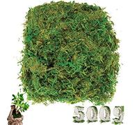 cersaty® Musgo artificial de 500 g, plantas artificiales, simulación de liquen verde para floristería y decoración de manualidades