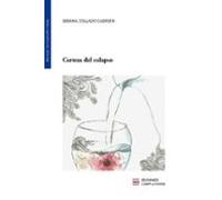 Certeza del colapso: 2 (Premio Complutense de Literatura)