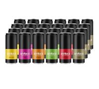 Cerveza Artesana Arriaca Pack Degustación "De Todo un Poco" 4 RUBIA + 4 TRIGO + 4 SESSION IPA + 4 IPA + 4 IMPERIAL RED IPA + 4 PORTER (Lata 24 x 33cl)