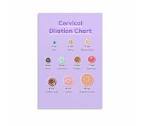 Cervical Dilation and Effacement Stages During Labor Modern Print for Midwife Office New Parents Gift Birth Education (Unframed,08x12inch(20x30cm))