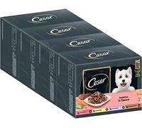 Cesar Alimento para Perros para Adultos selección en Salsa, 48 Bolsas de porciones, 12 x 100 g (4 Unidades) - Comida para Perros equilibrada Premium húmeda, selección con Carne de Res, Pollo, Cordero