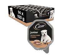 Cesar Comida Húmeda en gelatina para Perros Cachorros Sabor Pavo y Ternera (Pack de 14 Tarrinas x 150g)