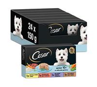 Cesar Comida húmeda para perros Senior Selección Carnes Mixtas – Pack de 6 x 4 tarrinas x 150 g