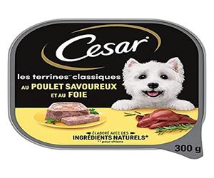 CESAR Les Classiques - Barquettes de poulet en terrine pour chien adulte, 20 barquettes de 300g
