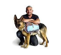 Cesar Millan Backpack™ - Mochila para Perros del Encantador de Perros - Mochila Bien Acolchada para Perros - Mochila para Perros de Senderismo Duradera Grande