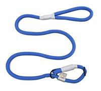 Cesar Millan Correa de adiestramiento de Nylon - Correa de adiestramiento para Perros - 2 en 1 Collar y Correa para Perros Azul Grande/Extra Grande