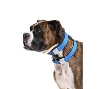 Cesar Millan Pack Leader Collar - Collar de Entrenamiento del susurrador de Perros - Mediano, Azul