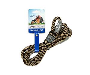 Cesar Millan Slip Lead Leash™ - Correa de Entrenamiento con Cuello Deslizante Que te da un Mayor Control y la Capacidad de Hacer Correcciones rápidas y Suaves (Regular, Negro/Bronceado)