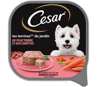 Cesar Pack de 20 Barquettes Veau en Terrine pour Chien 300 g