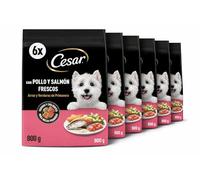 Cesar Pienso Semi Húmedo para Perro, Sabor Pollo y Salmón Frescos, Arroz y Verduras de Primavera, 800g, Pack de 6