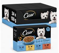 Cesar Ricette di Campagna Alimento Húmedo para Perros Adultos en Salsa, Multipack 24 x 150 g