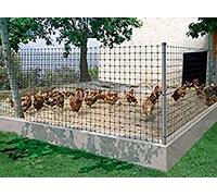 Nortene 170613 - Malla Gallinera Avinet 36 Negra 2X200M