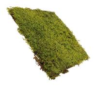 Césped Artificial de Espuma Epe para Modelistas y Maquetas | Aspecto Realista y Rápido Montaje, para Micro Paisajes y Fondos Fotográficos, sin Riego
