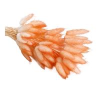 césped Artificial de Pampas, Cola de Conejito Hierba Pampa Seca, 30-60 Uds., decoración Multicolor for el hogar, arreglo Boda(Orange,30pcs)
