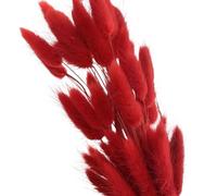 césped Artificial de Pampas, Cola de Conejito Pampas Grass Ramo Boda seco Accesorios navideños Multicolor 60-120 Piezas(Red,100pcs)