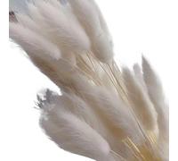 césped Artificial de Pampas, Cola de Conejito Pampas Grass Ramo Boda seco Accesorios navideños Multicolor 60-120 Piezas(White,100pcs)