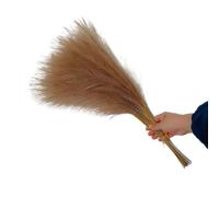 césped Artificial de Pampas, Hierba de Pampa Artificial 55CM Multicolor 5/10/20 Piezas Decoración del hogar(Brown,20pcs)