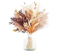 césped Artificial de Pampas, Ramo de Hierba Pampa Seca, Paquete 62 o 100 Palos, decoración del hogar, Rellenos florero, Fiesta Boda(100 Sticks as Shown)