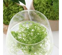 Césped artificial para decoración de paisaje con material plástico, hecho para simular césped natural para aplicaciones de bonsái y jardín en miniatura (500 g verde)