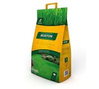 CESPED BOSTON 5 KG.