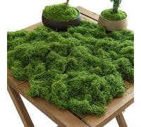 Césped de musgo artificial, 200 g, 2 unidades, césped de simulación para paisaje, decoración de vegetación realista, bajo mantenimiento para bonsái de jardín