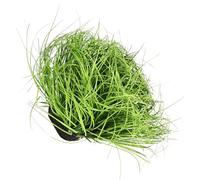 Césped Estático para Modelismo, Decoración de Micro Paisajes, Verde | Mechón Ligero de Plástico y Espuma, para Montaña en Miniatura, Mesa de Arena y Escenas a Escala